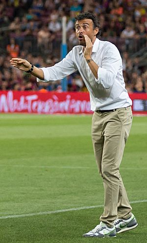 Luis Enrique 2014