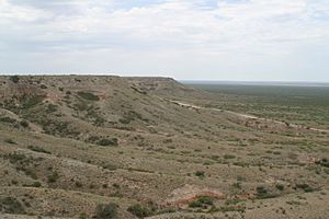 Mescalero Escarpment 2003.jpg