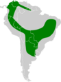 Molossops temminckii map