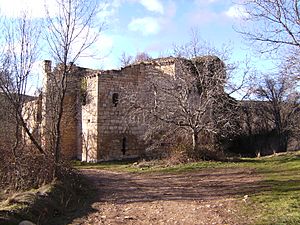 Monasterio de Santa Maria de Bonaval - Exterior.jpg