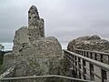 Montgomery Castle