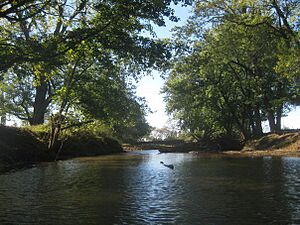MouthofHollandBrook