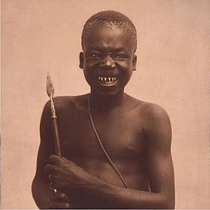 Ota Benga, sharpened teeth and spear