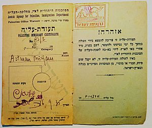 Palestine immigrant certificate