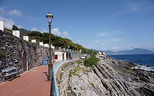 Passeggiata Anita Garibaldi and cliff