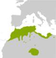 Pelophylax saharicus range Map