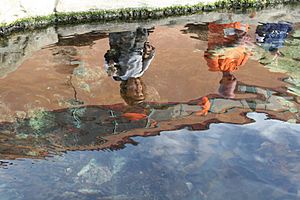 Photo of two people reflected in a fish pond