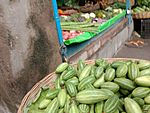 Pointed gourds of Hooghly