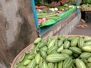 Pointed gourds of Hooghly