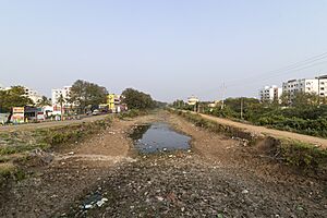 Pollution in Eluru canal along Mini-Bypass road Eluru