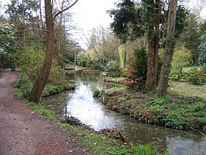 Pond in Holly Hill Woodland Park - geograph.org.uk - 755446