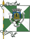 Flag of Porto