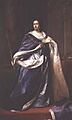 Queen Anne Lilly