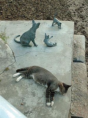 Real Cat with Cat Statue