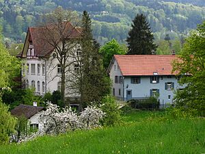 Regensdorf - Gut Katzensee IMG 2330