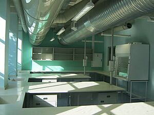Richard Ward 2nd floor labs University of the Witwatersrand