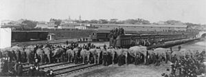 Ringling Brothers trains