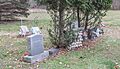 Rush Lake Indian Cemetery