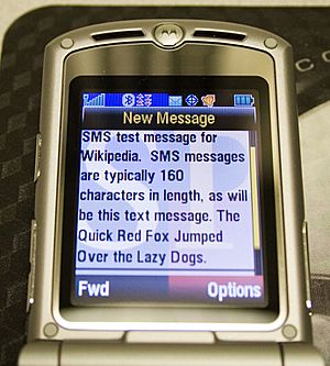 SMS test