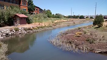 San Rafael Creek 2.jpg