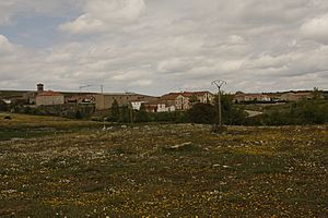 View of Sargentes de la Lora, 2010