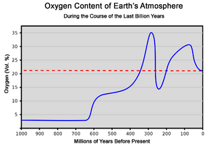 Sauerstoffgehalt-1000mj2