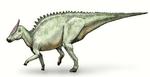 Saurolophus debivort