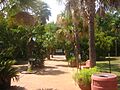 Scene at Alexandria (LA) Zoo Picture 299