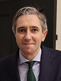 Simon Harris 2024 (cropped).jpg