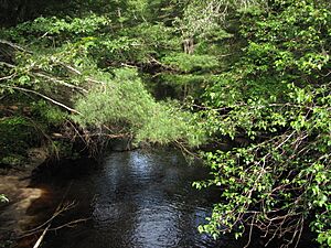 Sippican River, Wareham and Marion MA