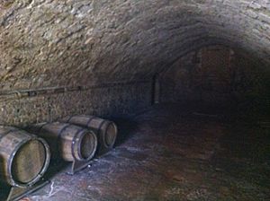 Southampton Medieval Merchants House cellar
