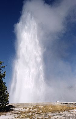 Splendid geyser yellowstone national park.jpg