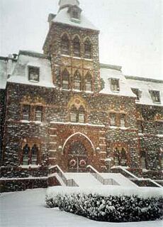 Stevens in the snow