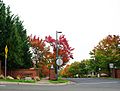 Subdivision - Bethany, Oregon