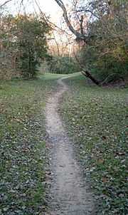 Terry Hershey Park trail