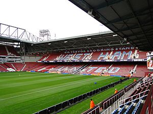 TheSirTrevorBrooking Stand