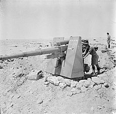 The British Army in North Africa 1942 E14808
