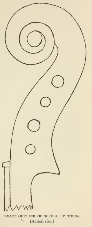 Tobin scroll outline