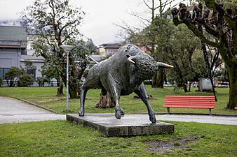 Toro di Remo Rossi a Locarno