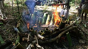 Tukir (a way of cooking using bamboo as recipient to cook in the fire)