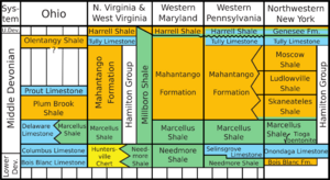 USGS 2006 1237 table2 Stratigraphy Middle Devonian
