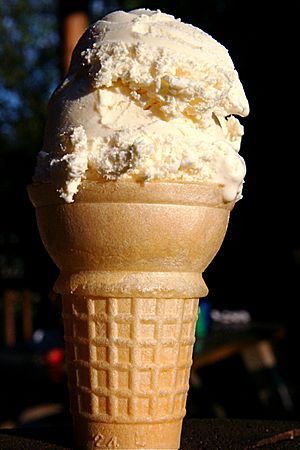 Vanilla Ice Cream Cone at Camp Manitoulin