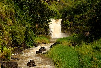 Waimea Falls (5216452573).jpg