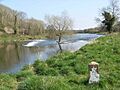 Weir on Boyne Near Stackallen - geograph.org.uk - 397151