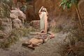 15 23 1116 creation museum