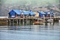 16 Akaroa, New Zealand - free stock photo