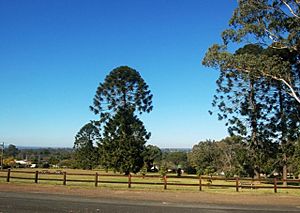1868 - Wilberforce Park - Vista over Wilberforce Park looking Southeast from Macquarie Road (5053905b3).jpg