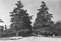 1959 Lane