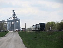 Grain elevator and railroad in Pittwood
