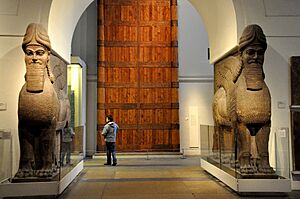 A pair of lamassus from the Throne Room, Room B, of the North-West Palace at Nimrud, Iraq, 9th century BC. The British Museum